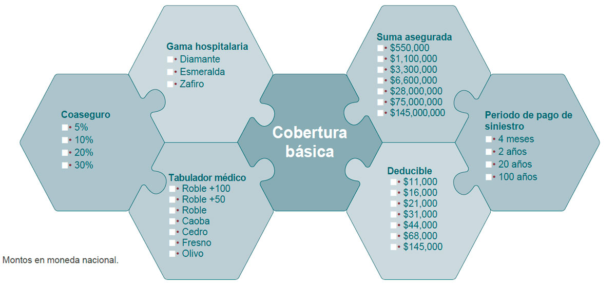 Opciones Seguro de Gastos Médicos Mayores Nacionales